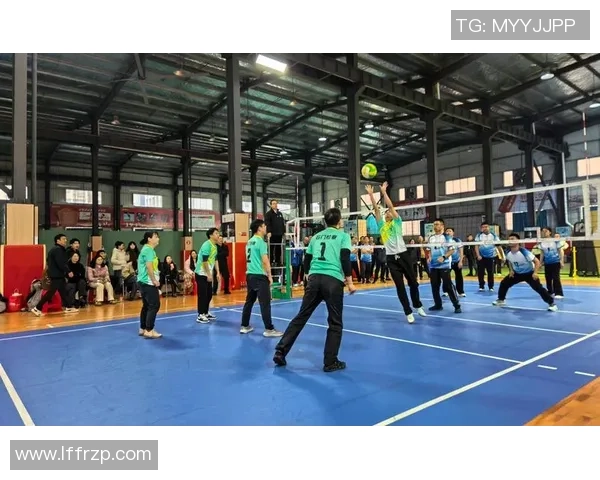 南京排球队在全国排球比赛经验排行榜中荣获第八名的辉煌成就